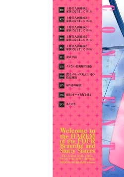 Page 2 of Dosukebe Bijin Yonshimai Harem ni Youkoso!5 Shitagaki Data