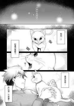 Page 41 of LOVELESS SEX | 先性後愛