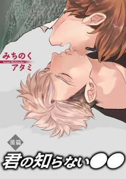 Page 19 of Kimi no Shiranai xx