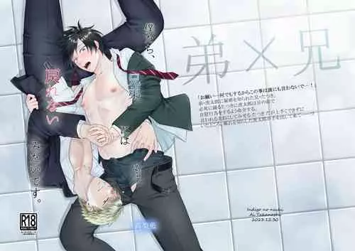 Download Bokutachi, Kyoudai ni wa Mou Modorenai Mitai desu.