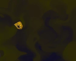 Page 77 of Anal Kaidan Shuu 2