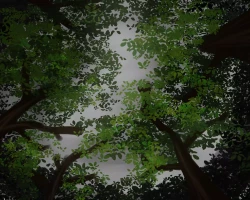 Page 82 of Anal Kaidan Shuu 2