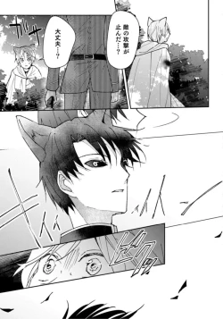 Page 25 of Kemonohito Kishi no Keiai STORY.1