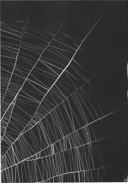 Page 29 of Byoujo no Sho