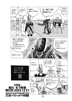 Page 21 of SSR6