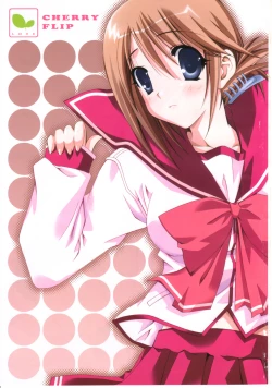 Page 4 of cherryflip