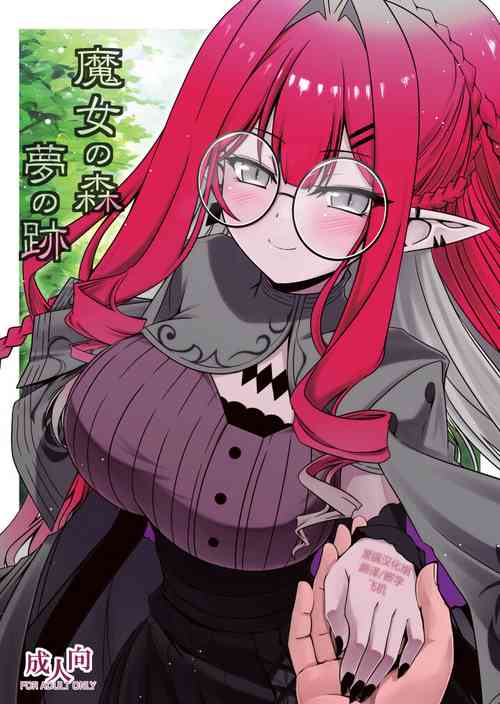 (C103) [Koori Ame (Hisame Genta)] Majo no Mori - Yume no Ato (Fate/Grand Order) [Chinese] [黑锅汉化组]