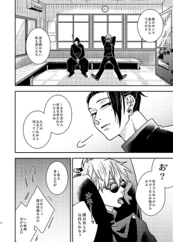 Page 13 of Sonna no Kiitenai!