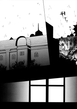 Page 11 of Contraindications