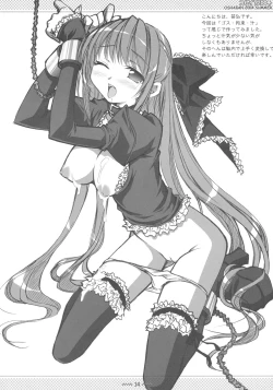 Page 13 of CopyIllu 2004