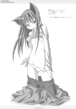 Page 20 of CopyIllu 2004