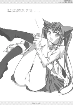 Page 21 of CopyIllu 2004