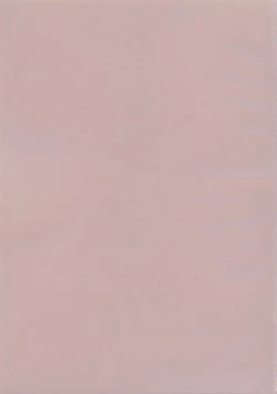 Page 3 of Boku no Kanojo wa Yakyuubu Manager ver. 2.0