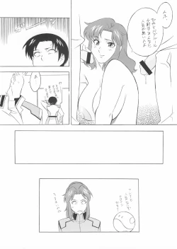 Page 41 of NEXT Climax Magazine 14 Gundam Seed Tokushuu-gou