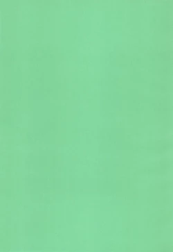 Page 43 of "Naisho" tte koto.