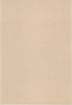 Page 45 of Mamoru-kun to Watashi