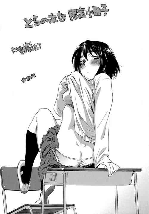 Download Taihen Yoku Dekimashita? Toranoana Gentei Shousasshi