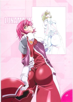 Page 47 of SEED ANOTHER CENTURY D.E. 2