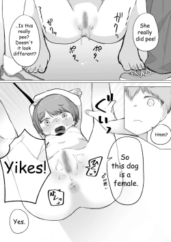 Page 20 of Aru Asa, Mezametara Pet Shop de Urareteita | I woke up and I was being sold in a pet store