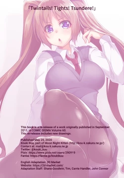 Page 22 of Twintails! Tights! Tsundere!