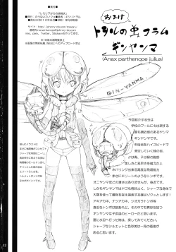 Page 32 of Remilia kara no Chousenjou