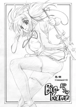 Page 1 of Command 01