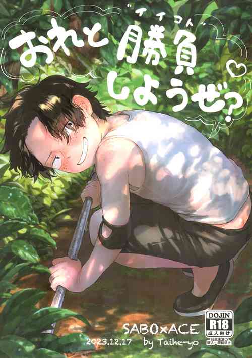 [Hamachi Rinkai Koen (Taihe-yo)] Ore to Shoubu Shiyou Ze? (ONE PIECE)