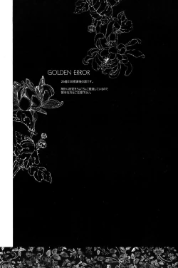 Page 2 of GOLDEN ERROR
