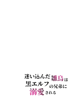 Page 29 of Mayoikonda hinadori wa kuro Erufu no kyodai ni dekiai sa reru | 误入的雏鸟被黑妖精兄弟溺爱 1