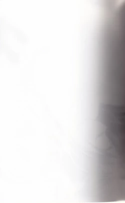 Page 2 of honotan ll - Max Heart