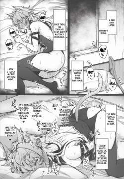 Page 14 of C100 Kaijou Gentei Omakebon Acolasia Catastrophe