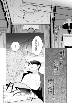Page 14 of 絶界牢獄3 発情不可避の下剋上