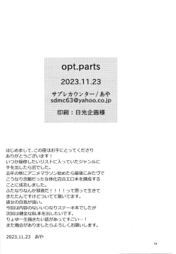 Page 17 of opt.parts