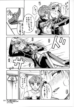 Page 33 of Tsuihou Kakugo Ver 7.0 - Seikai Tokushuu 3