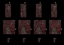 Page 225 of ◆FANBOX◆ ナズナ