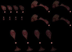 Page 278 of ◆FANBOX◆ ナズナ