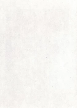 Page 117 of MARUOGRAPH EX 2