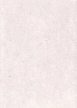 Page 97 of MARUOGRAPH EX 2