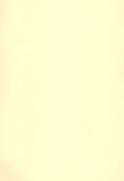 Page 3 of Chibikko Idol Bride