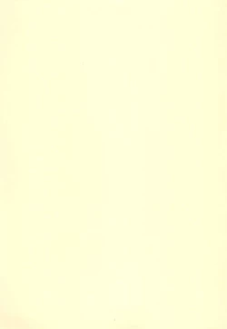 Page 3 of Hajimete no Sex