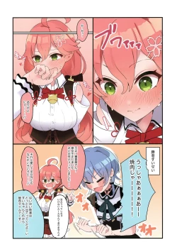 Page 30 of MiComet Matome 1