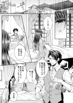 Page 30 of Shinshi, aru Iha Mōjū.~ Fugō ni Ubawareta Otome no Junketsu 1-2