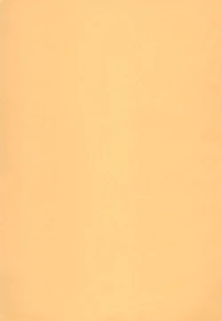 Page 33 of Subete no Mirai ni Hikari are 4