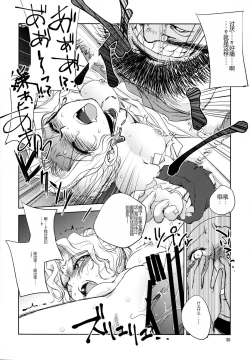 Page 30 of GRASSEN'S WAR ANOTHER STORY Ex #05 Node Shinkou V