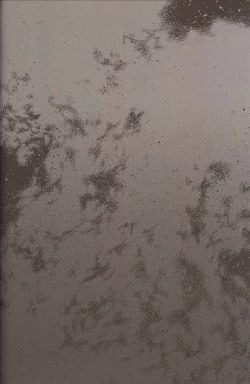 Page 17 of Shiritsu Fate Gakuen