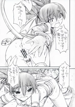 Page 8 of Favo tipeR