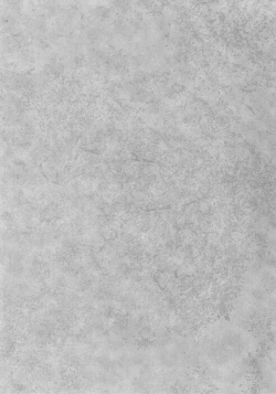 Page 3 of Little by Little