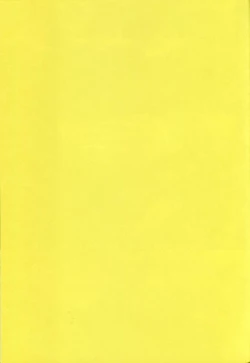 Page 2 of White Iris