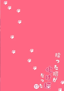 Page 42 of 捡回家的猫竟是猫妖