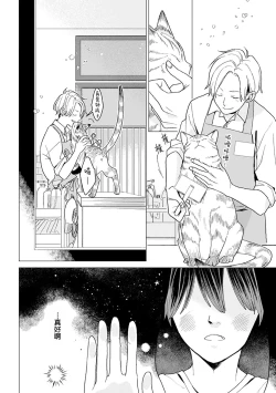 Page 16 of 恋爱中的猫咪想被抚摸